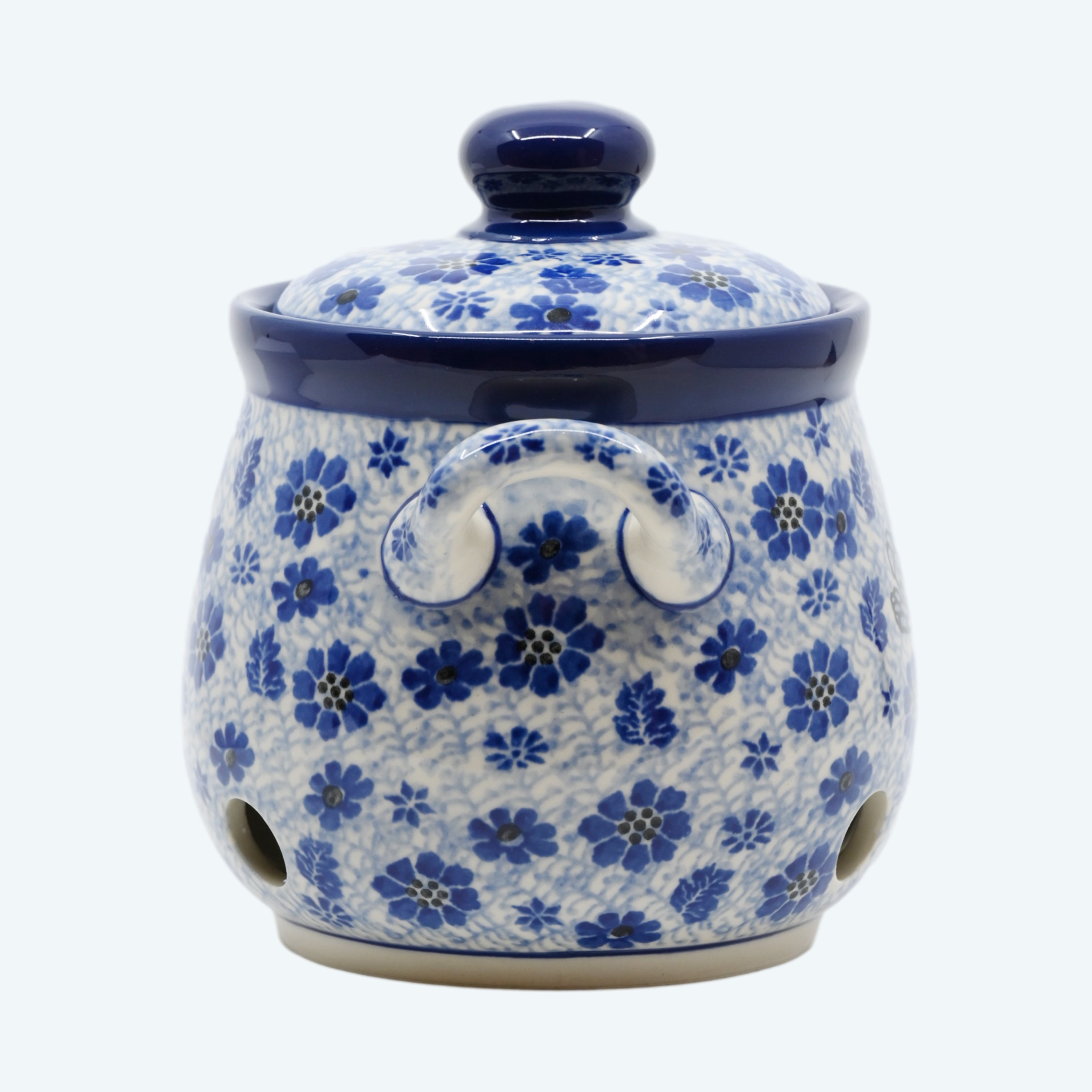 Garlic Jar Misty Dragonfly - Container