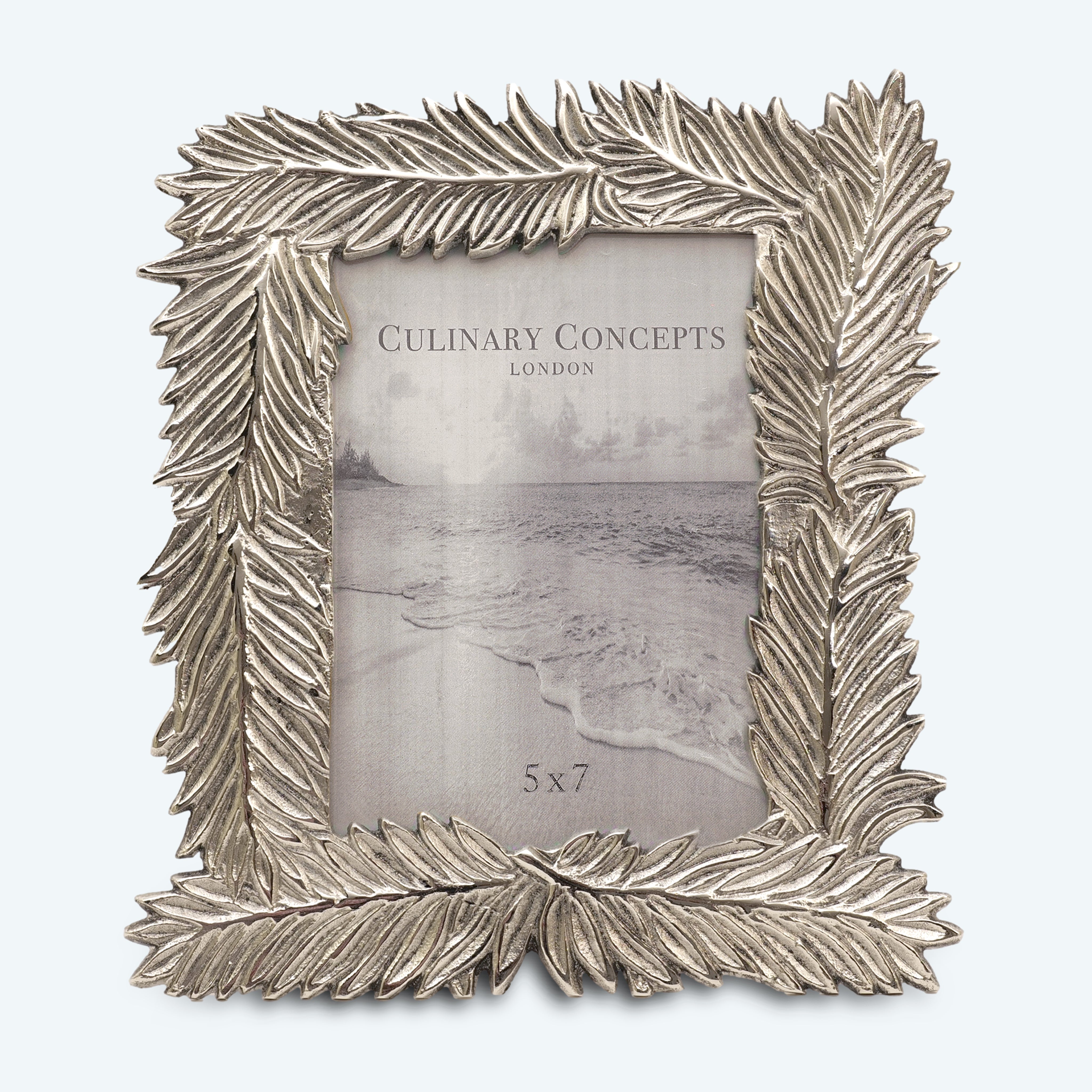 Sleek Silver Feather Photo Holder - Photo Frame