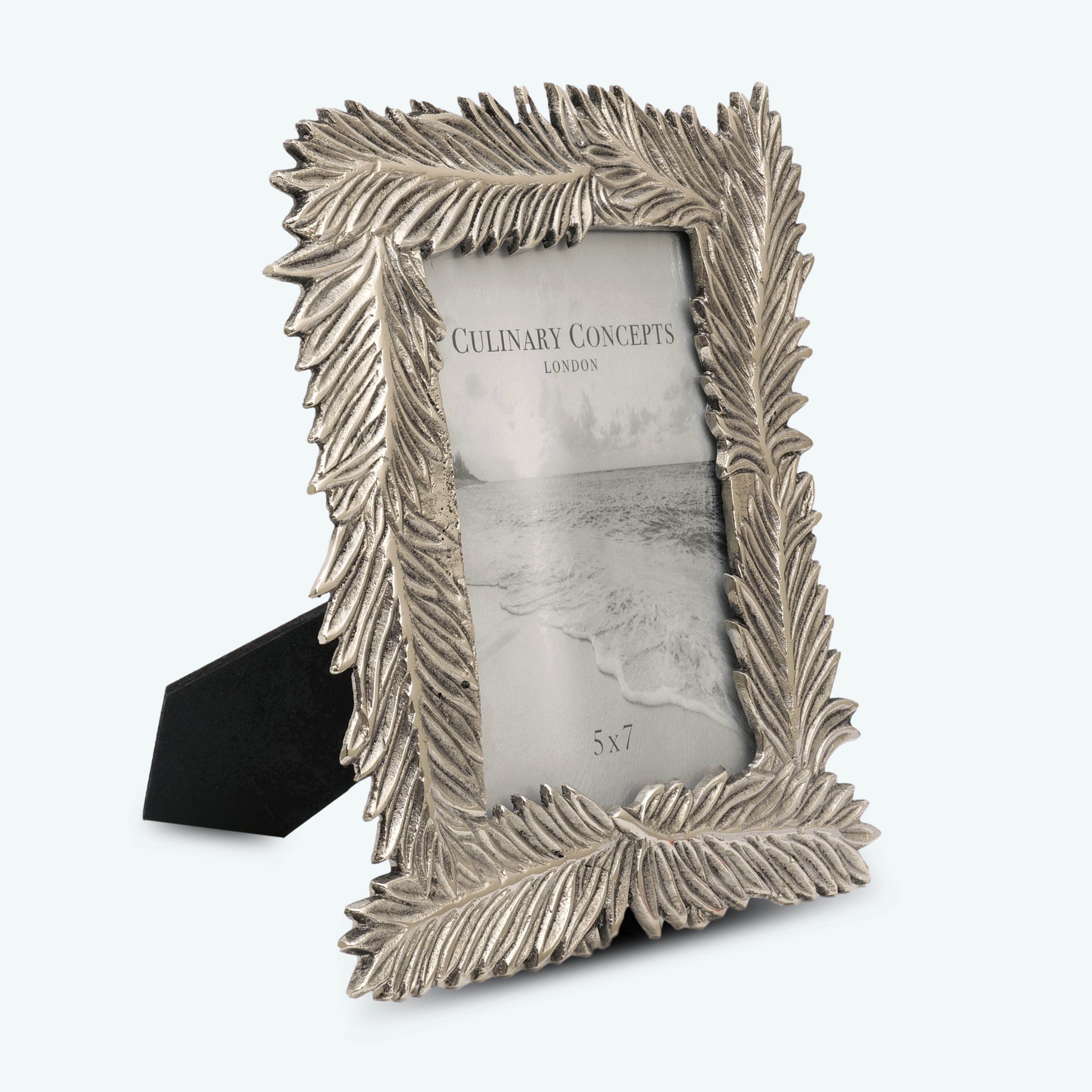 Sleek Silver Feather Photo Holder - Photo Frame
