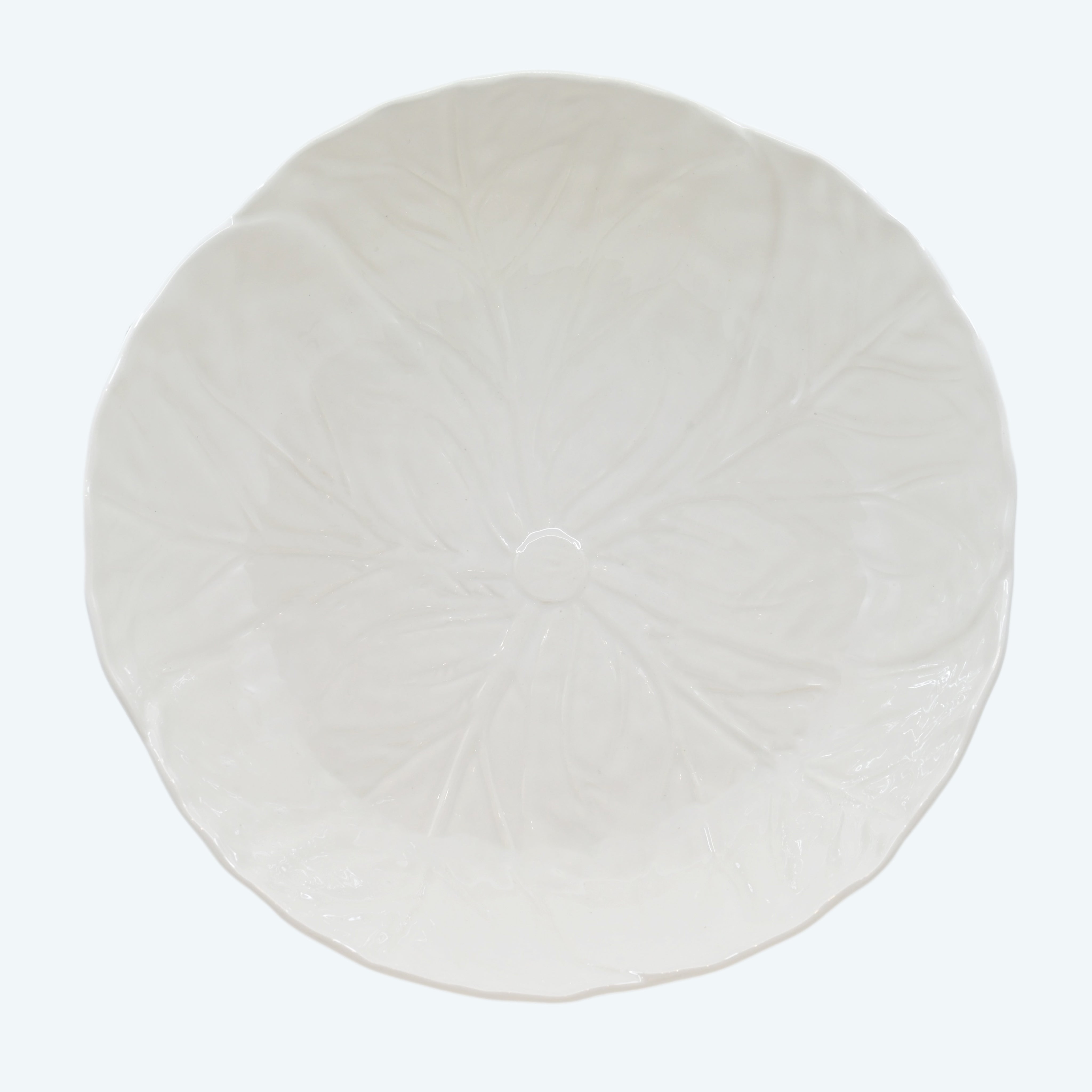 Large Cabbage Bowl White - Bowl